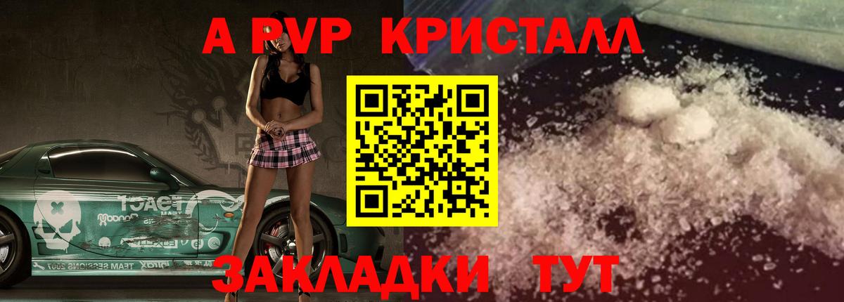 A-PVP СК КРИС Оренбург