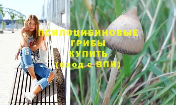 марихуана Сясьстрой