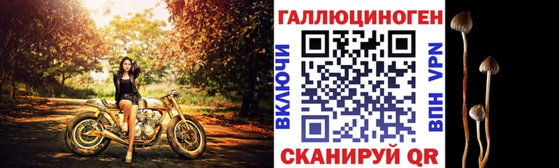 ОМГ ОМГ зеркало  Оренбург  Галлюциногенные грибы мицелий  где продают  